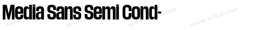 Media Sans Semi Cond字体转换